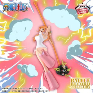 Nami - Battle Record Collection